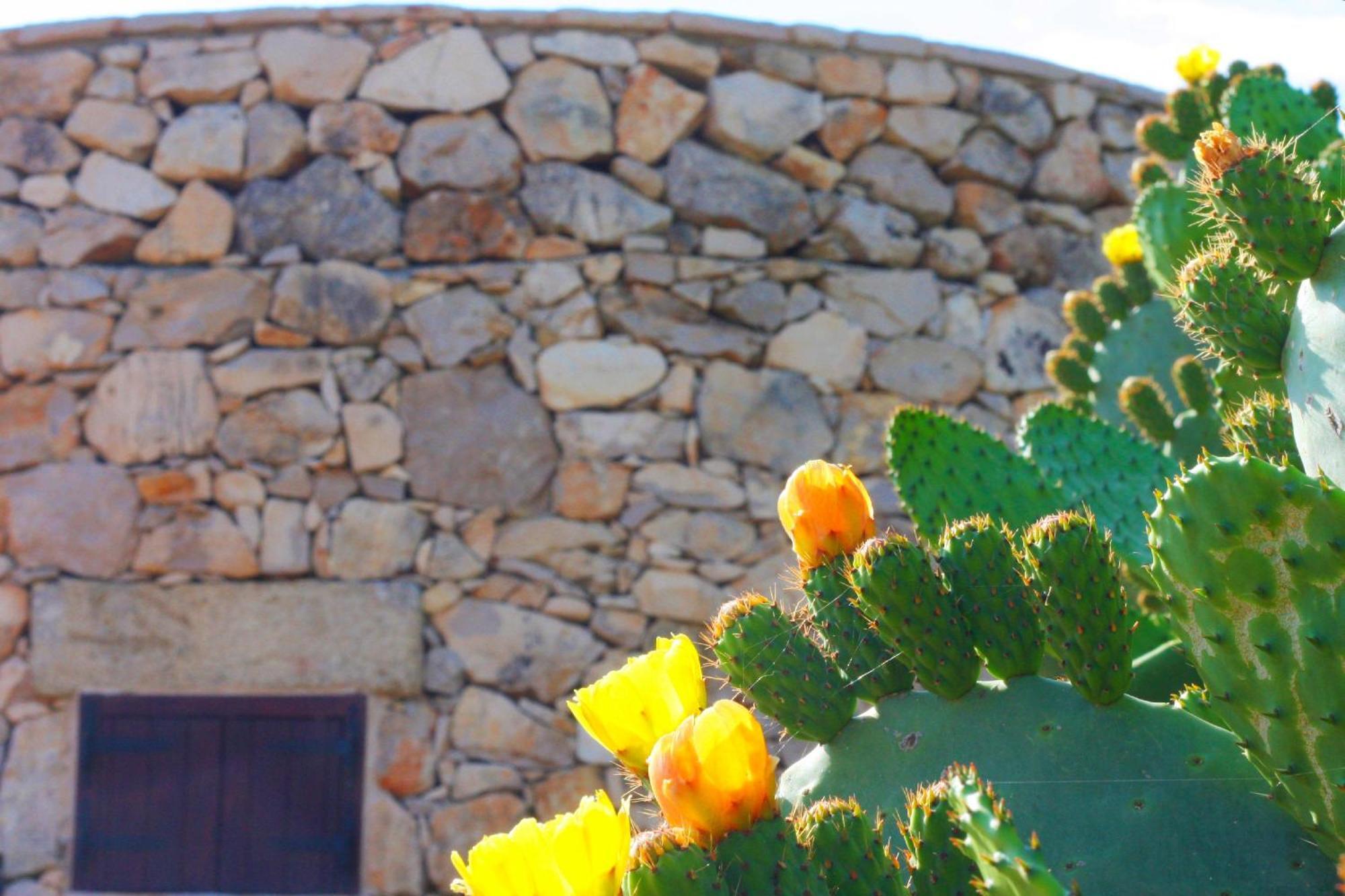 דירות מרינה די מנקוורסה Trullo Macchie מראה חיצוני תמונה